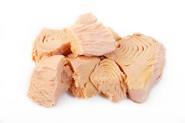 istock tuna fish isolated on white background 477463996
