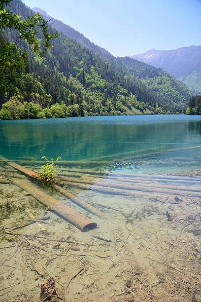 Jiuzhaigou National Park water trees and mountains
