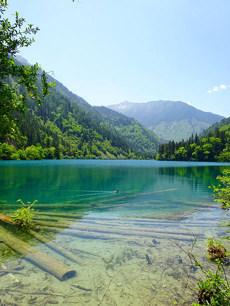 istock Jiuzhaigou National Park Water 477469906