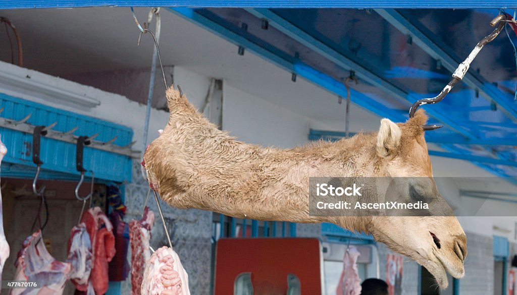 Camel Head drying in Tunisian market Camel Head hung and drying in local market, Tunisia. Butcher's Shop Stock Photo