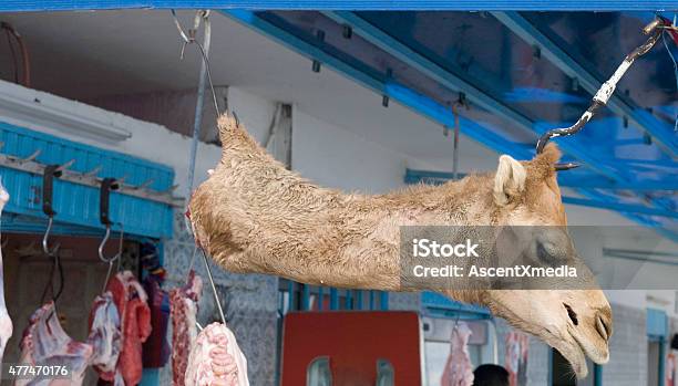 Camel Head Drying In Tunisian Market Stock Photo - Download Image Now - Butcher's Shop, Butcher, Portrait