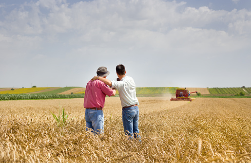 Peasant and business man talking on wheat field during harvesting