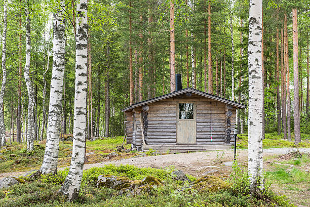 istock Cabin in the woods 477470676