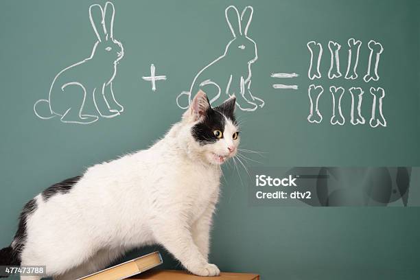 Arithmetic Stock Photo - Download Image Now - 2015, Animal, Art