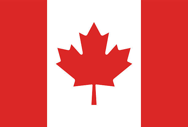 tło flaga kanady - flag canadian flag patriotism national flag stock illustrations