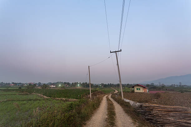 istock Tobacco farm 477474806