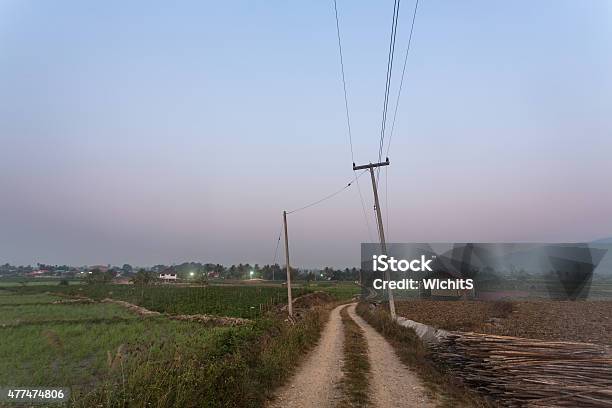 Tobacco Farm Stock Photo - Download Image Now - 2015, Agricultural Field, Agriculture