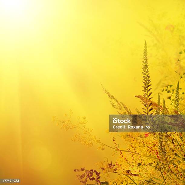 Holiday Background Stock Photo - Download Image Now - Abstract, Backgrounds, Beauty In Nature