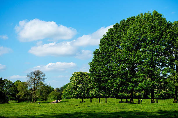 istock Green Landscape and Blue Sky 477476086