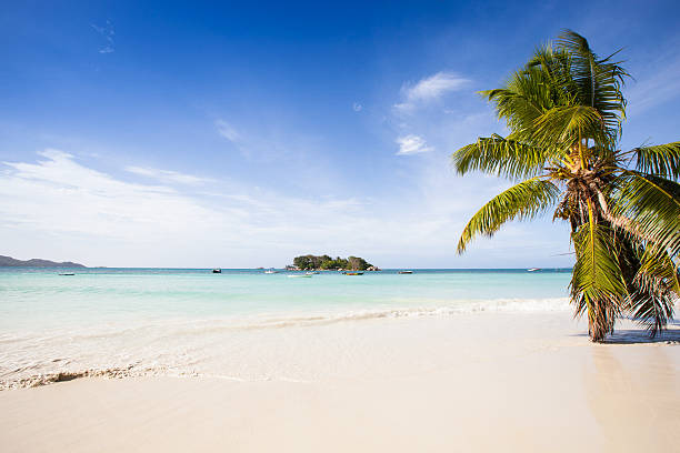 istock island in the sun 477476619