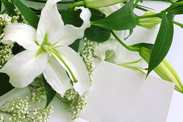 istock White lily flowers and post card 477478597