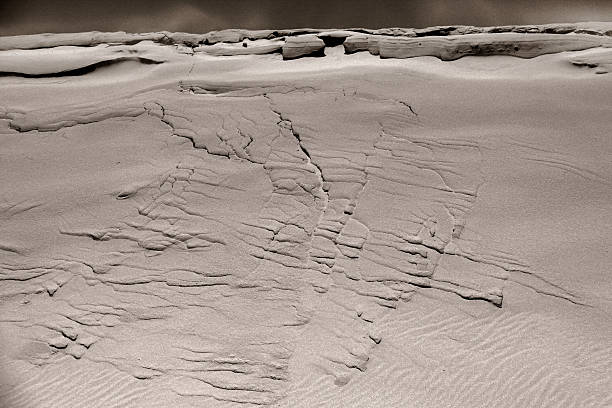 Dune - foto de acervo