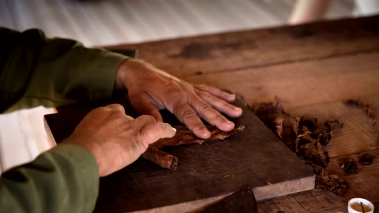 Man processing tobacco leaves and making cigars , Cuba