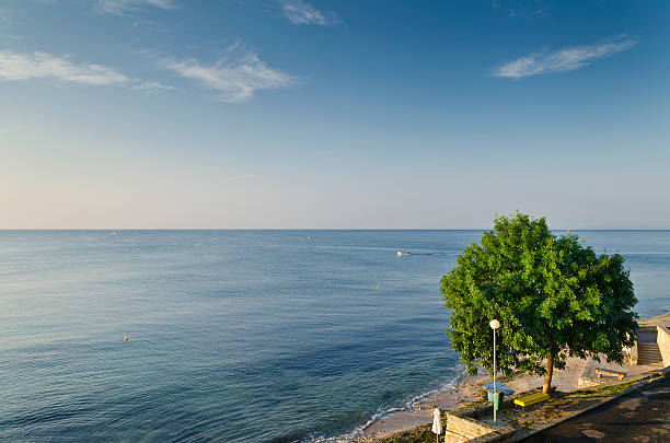 istock Eternity on Bulgarian sandy shore near sunrise meditation 477481392
