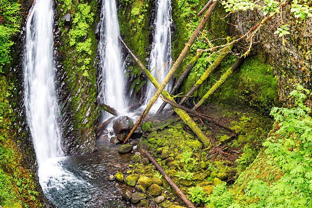 triple avec vue sur les chutes, dans l'oregon - triple falls photos photos et images de collection