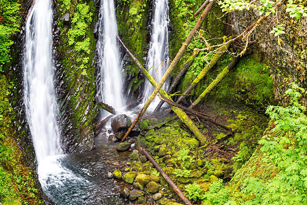 tripla vista cascate in oregon - triple falls immagine foto e immagini stock