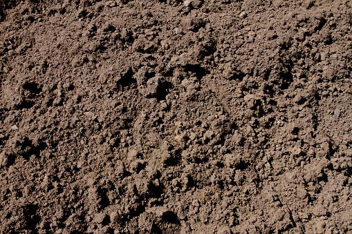 Close up of soil dirt background texture, perfect for environmental concepts