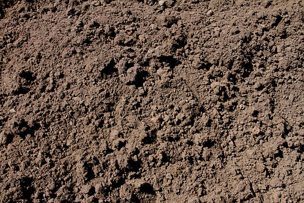 Soil earth background texture Close up of soil dirt background texture, perfect for environmental concepts topsoil stock pictures, royalty-free photos & images