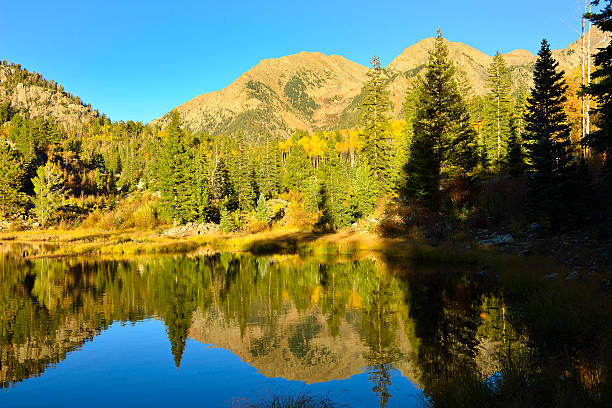 istock reflection of a mountain in the lake 477484101