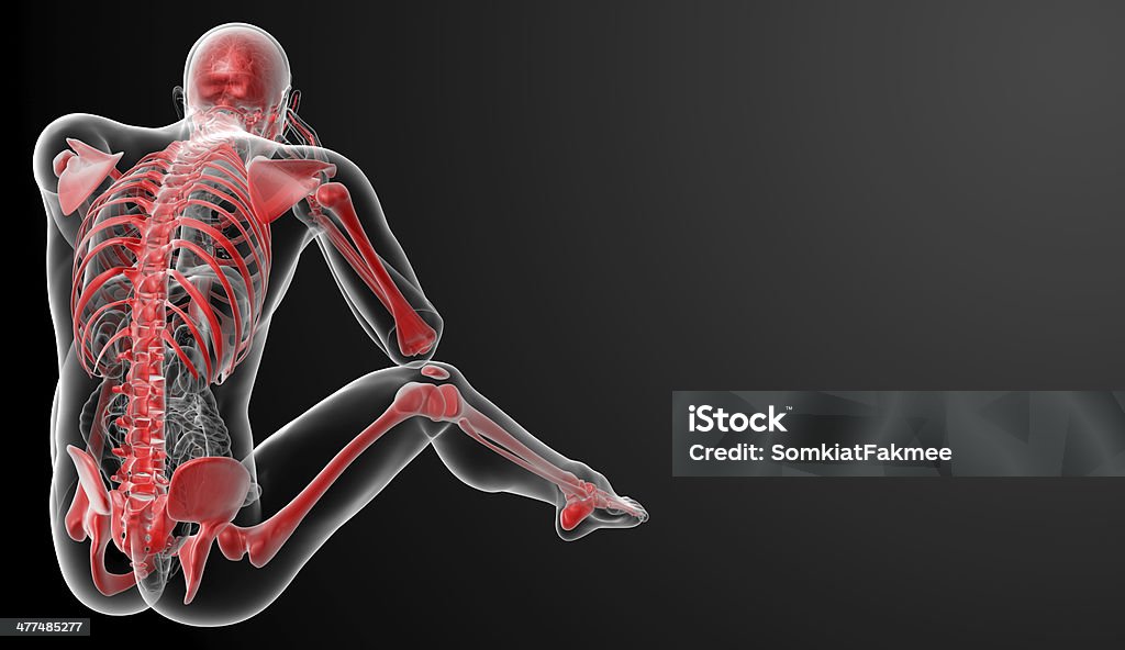 Red skeleton - back view Anatomy Stock Photo