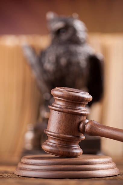istock Law concept, owl in a judge gavel concept 477485562