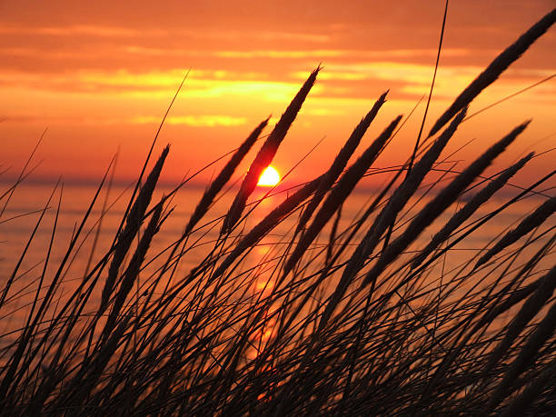 istock 2015_05_Sonnenuntergang_Nordsee_Duenengras 477486020