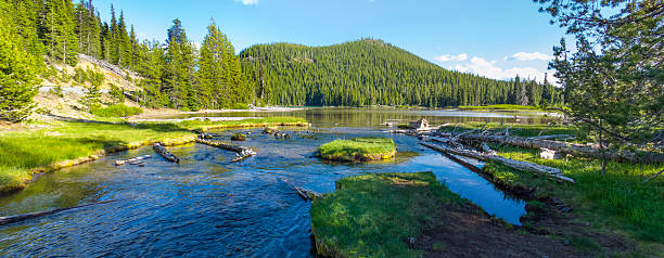Scenic Oregon Evening Wilderness Panorama With Stream, Lake, Forest, Hills