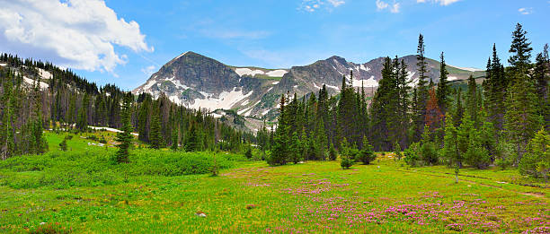 istock high altitude alpine tundra in Colorado during summer 477491227