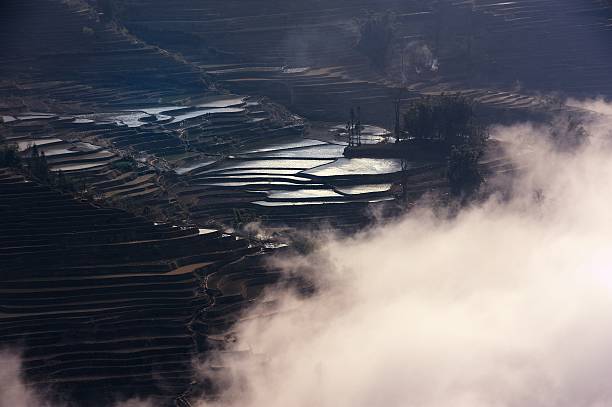 clair et ombre sur la terrasse champs 001 - agriculture artificial yunnan province china photos et images de collection