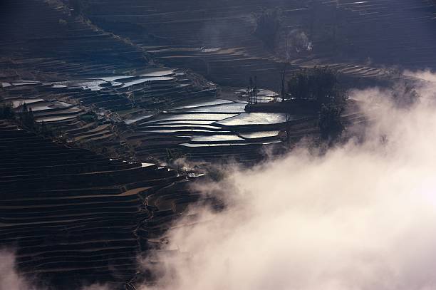 światło i cień na alhambrę pola 001 - agriculture artificial yunnan province china zdjęcia i obrazy z banku zdjęć