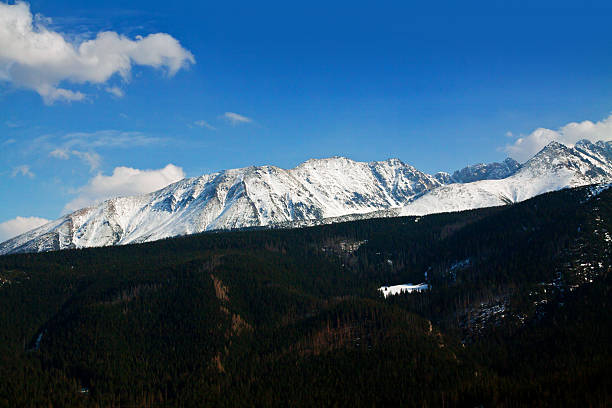 istock Mountain snowy landscape with forest 477493846