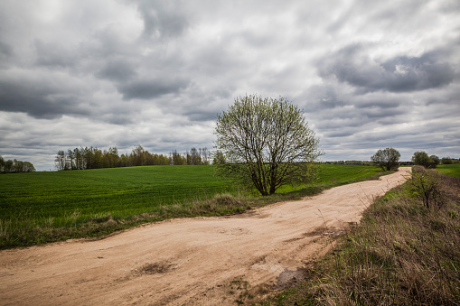 Dirty country road in Belarus, Eastern Europe, at early spring