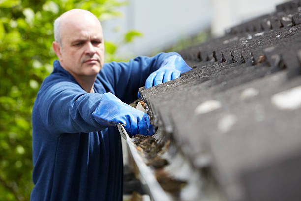 Man Clearing Leaves From Guttering Of House stock photo