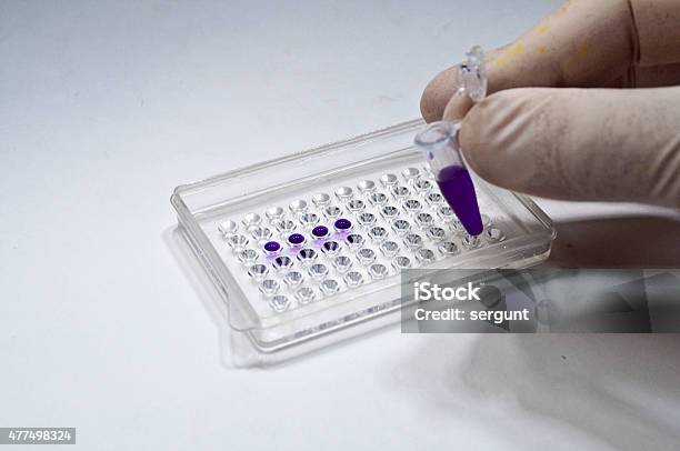 In Biological Research Laboratories Stock Photo - Download Image Now - 2015, Analyzing, Biochemistry