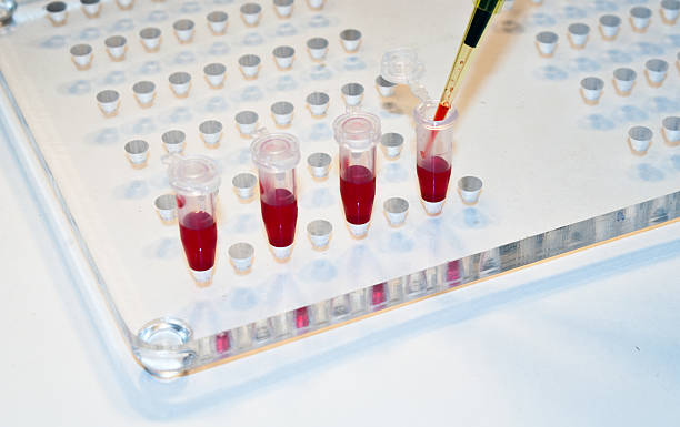 istock In medical laboratories studied blood. 477498332