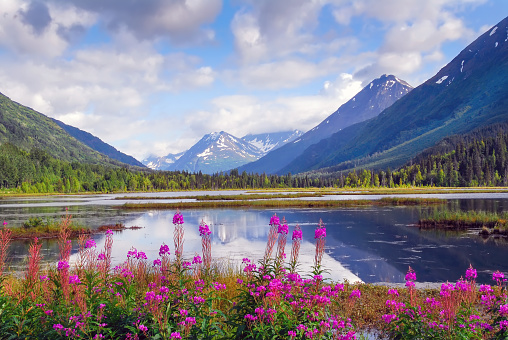 Alaska, USA.