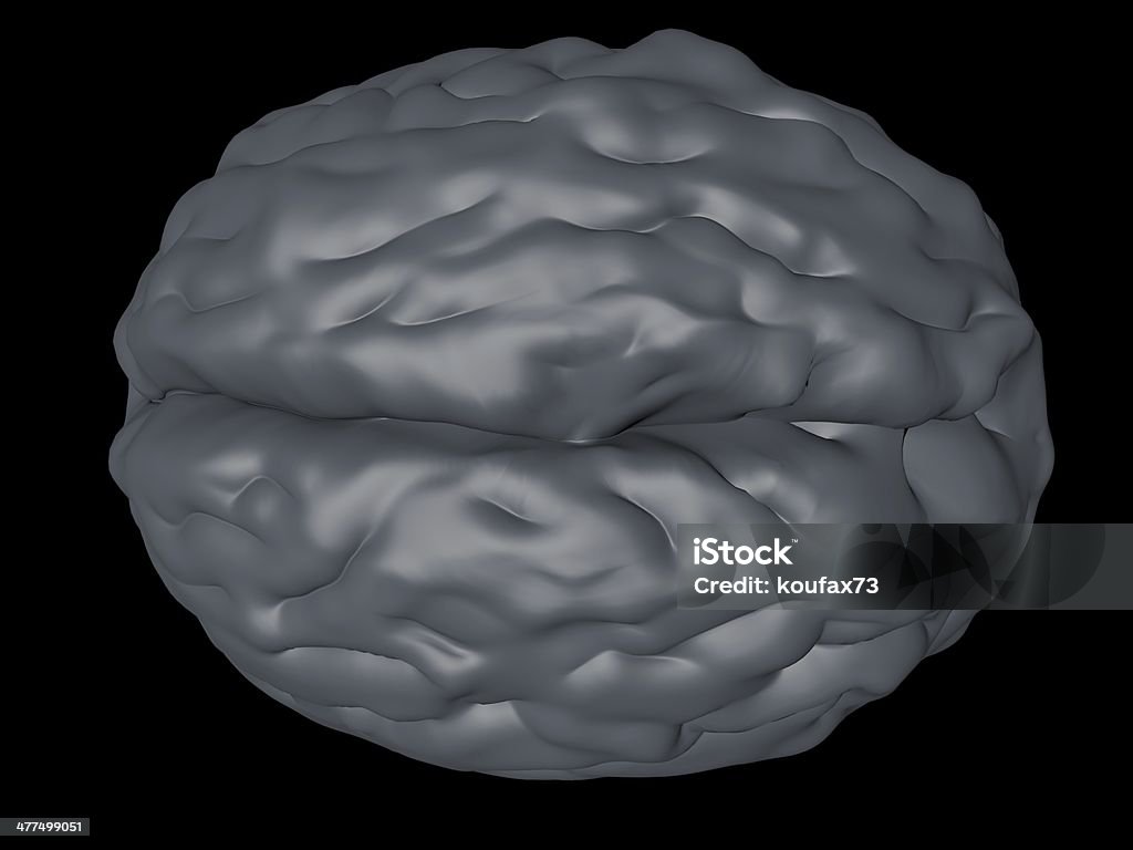 cervello - Foto stock royalty-free di Anatomia umana