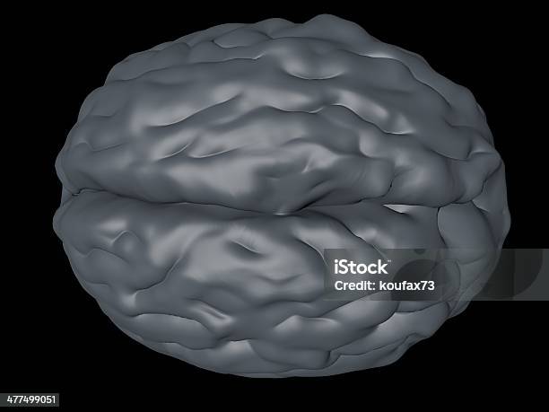 Cervello - Fotografie stock e altre immagini di Anatomia umana - Anatomia umana, Cervello umano, Composizione orizzontale