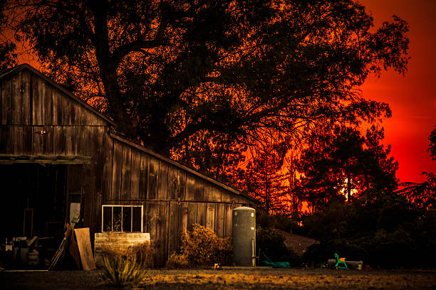 Red sunset in rural California stock photo