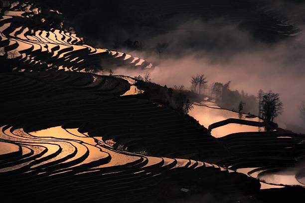 clair et ombre sur la terrasse champs 010 - agriculture artificial yunnan province china photos et images de collection
