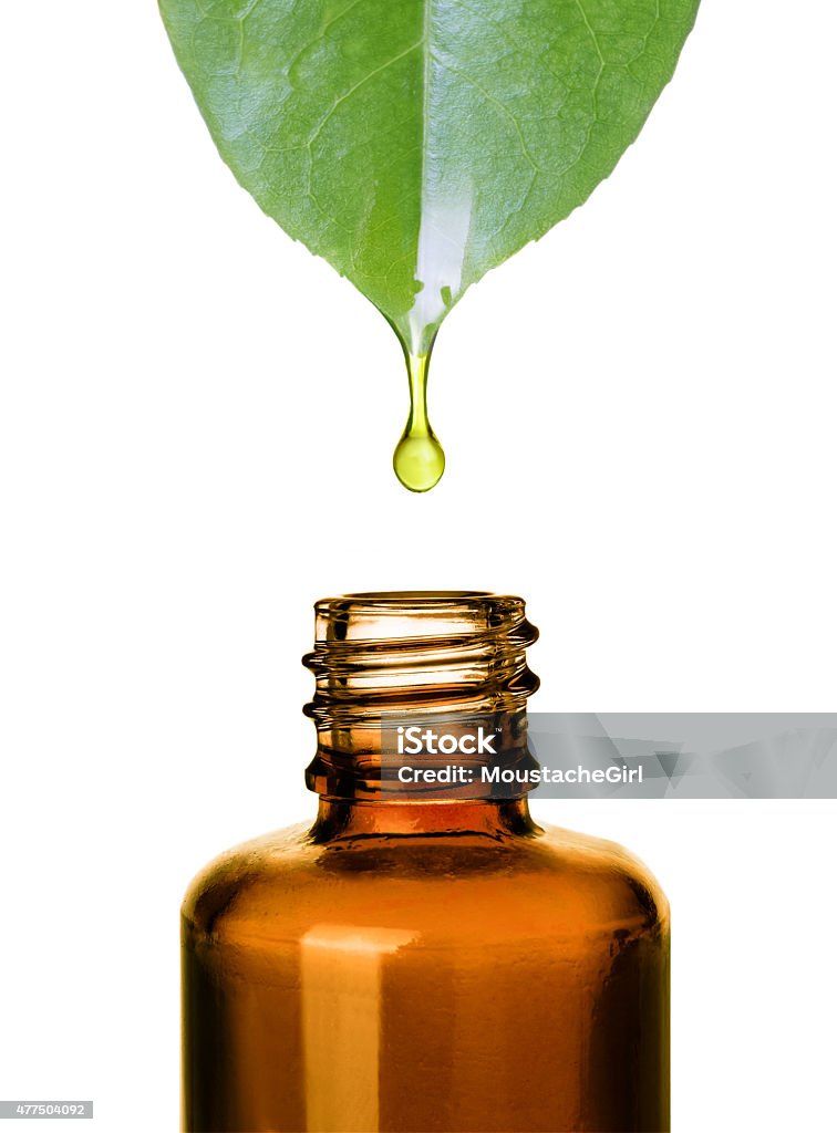 Essential oil dropping from leaf to bottle. .Aromatherapy. Isolated on white. Essential Oil Stock Photo