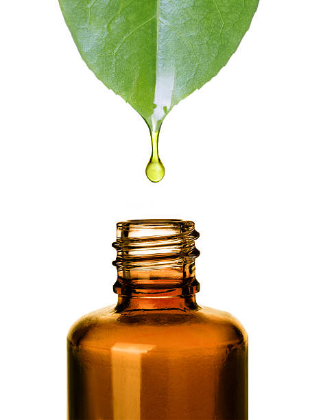Essential oil dropping from leaf to bottle. .Aromatherapy. stock photo
