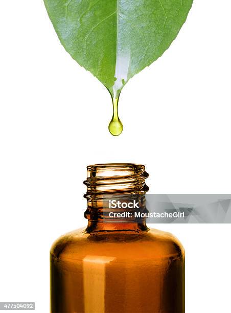 Essential Oil Dropping From Leaf To Bottle Aromatherapy Stock Photo - Download Image Now