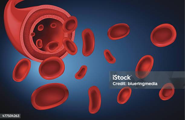 유혈 피에 대한 스톡 벡터 아트 및 기타 이미지 - 피, 에리스오포에틴, 관다발