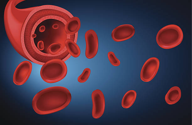Blood Illustration of the human blood erythropoietin stock illustrations