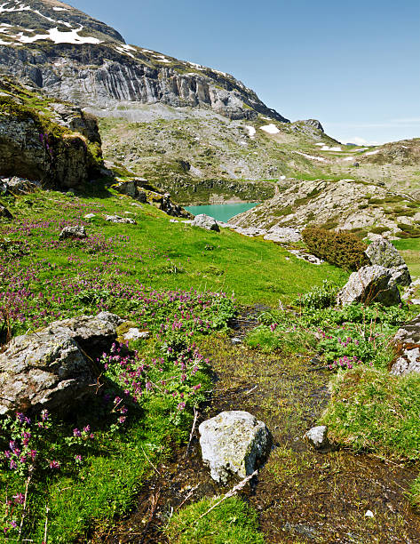 istock Spring in Estaube circus in French Pyrenees 477506514