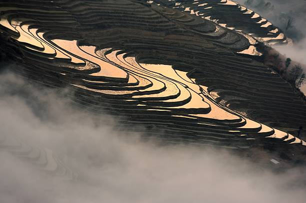 luz e sombra no campo com terraço 002 - agriculture artificial yunnan province china imagens e fotografias de stock