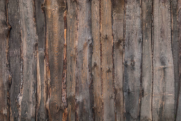 texture legno - foto stock