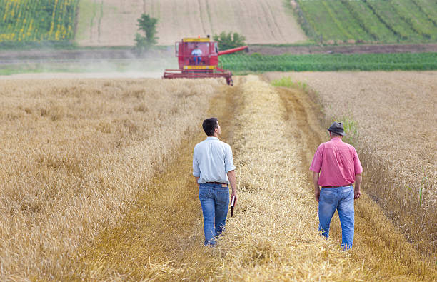 istock Business partners on wheat field 477514036