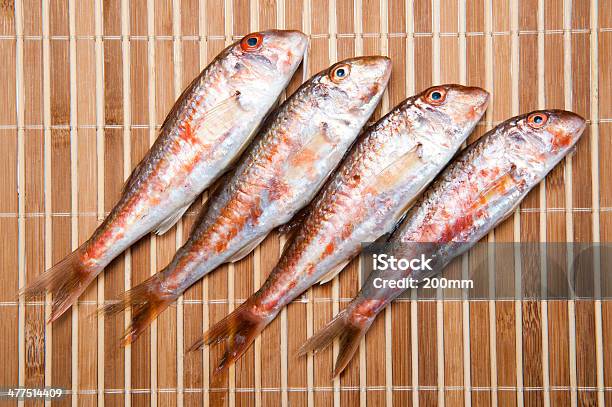 Salmonetes Foto de stock y más banco de imágenes de Agalla - Agalla, Aleta - Parte del cuerpo animal, Aleta dorsal